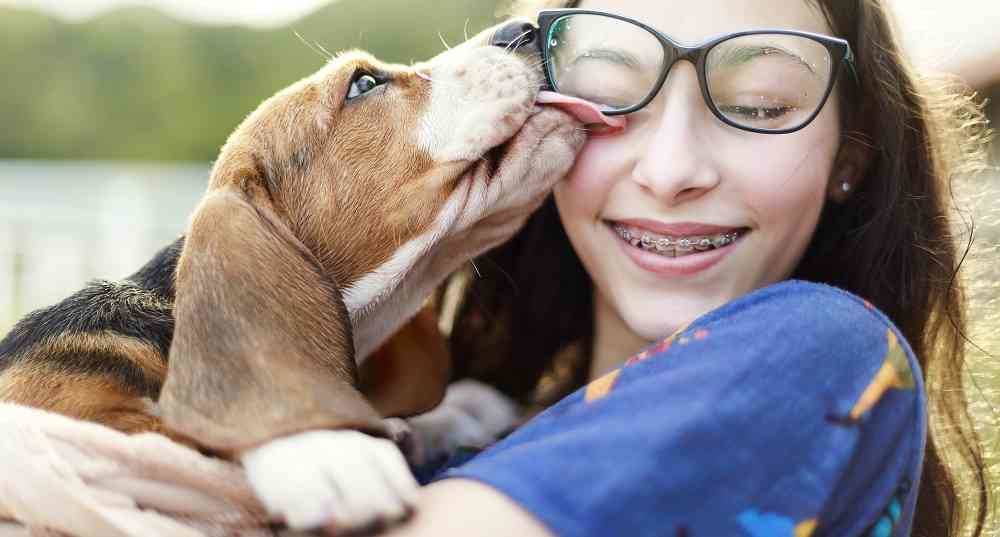 ¿Qué tan cierto es que un perro puede amar?