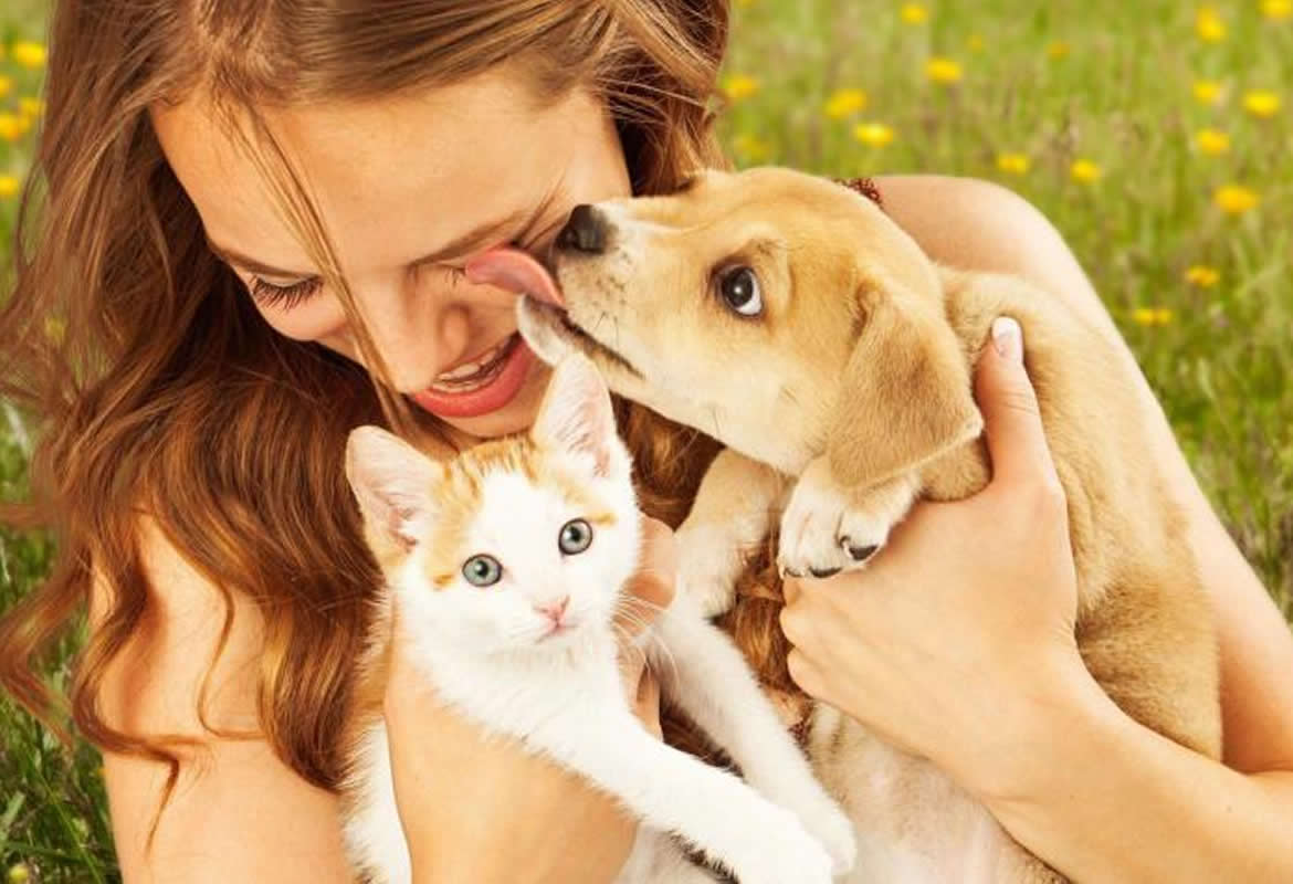 Acariciar a perros o gatos cada día permite reducir el estrés