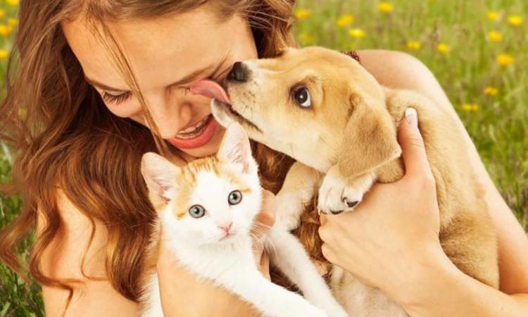 Acariciar a perros o gatos cada día permite reducir el estrés